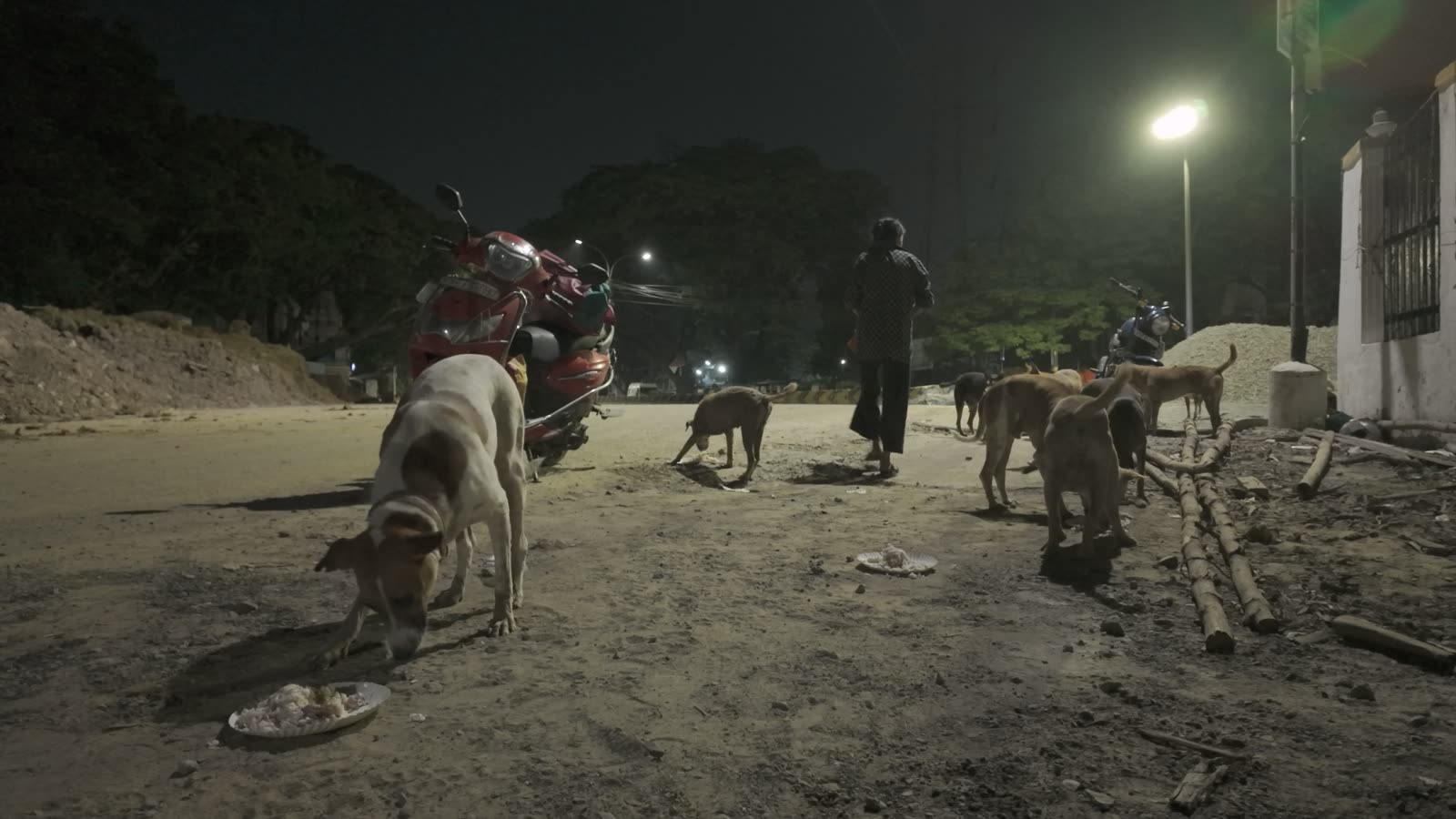 Animal activists