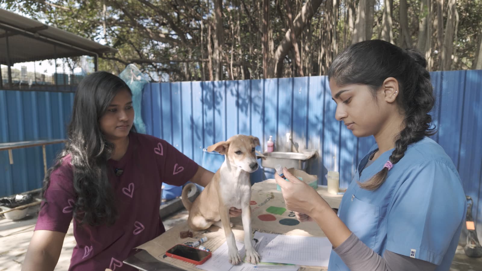 Vaccination Day