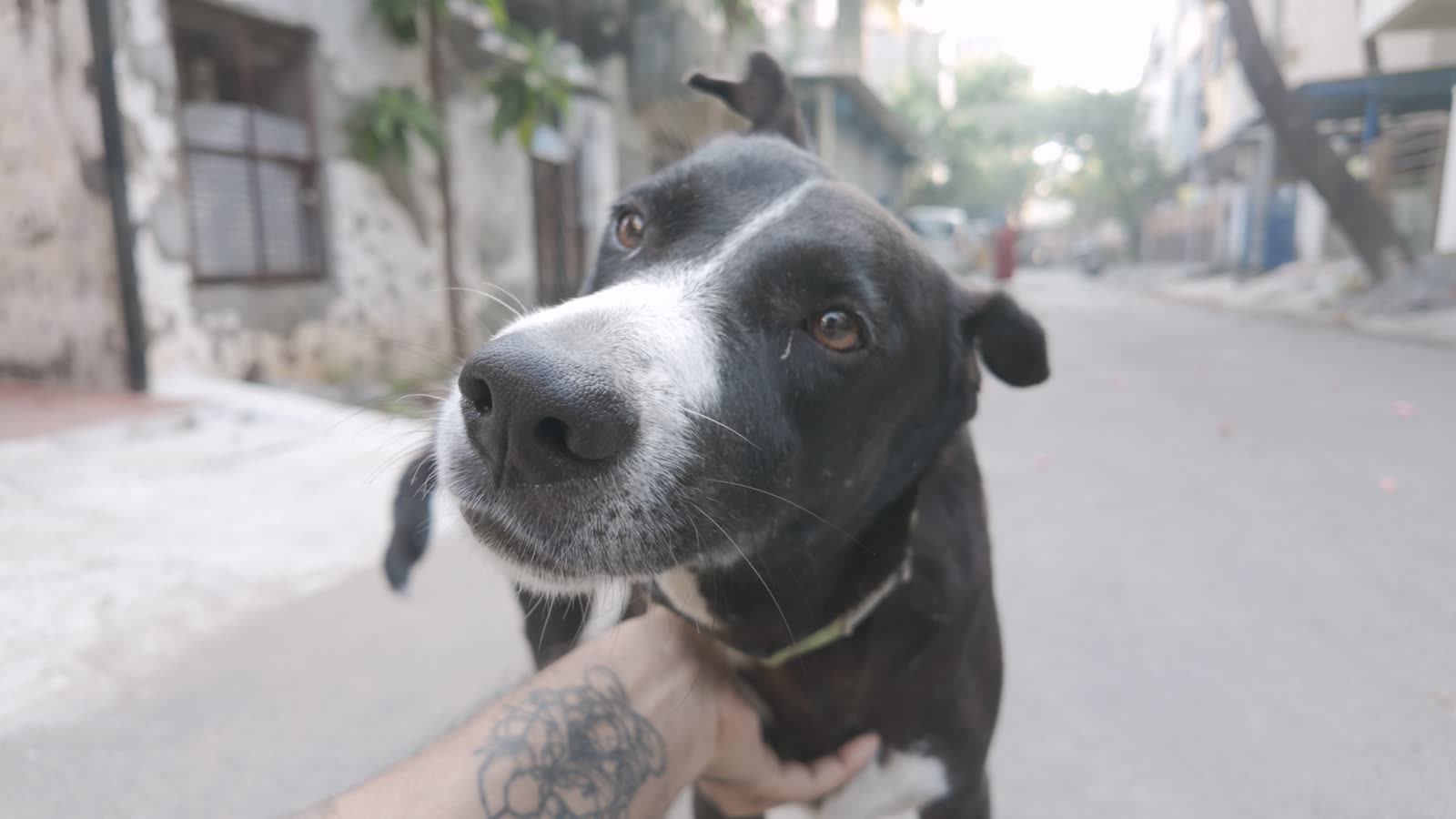 The look of love