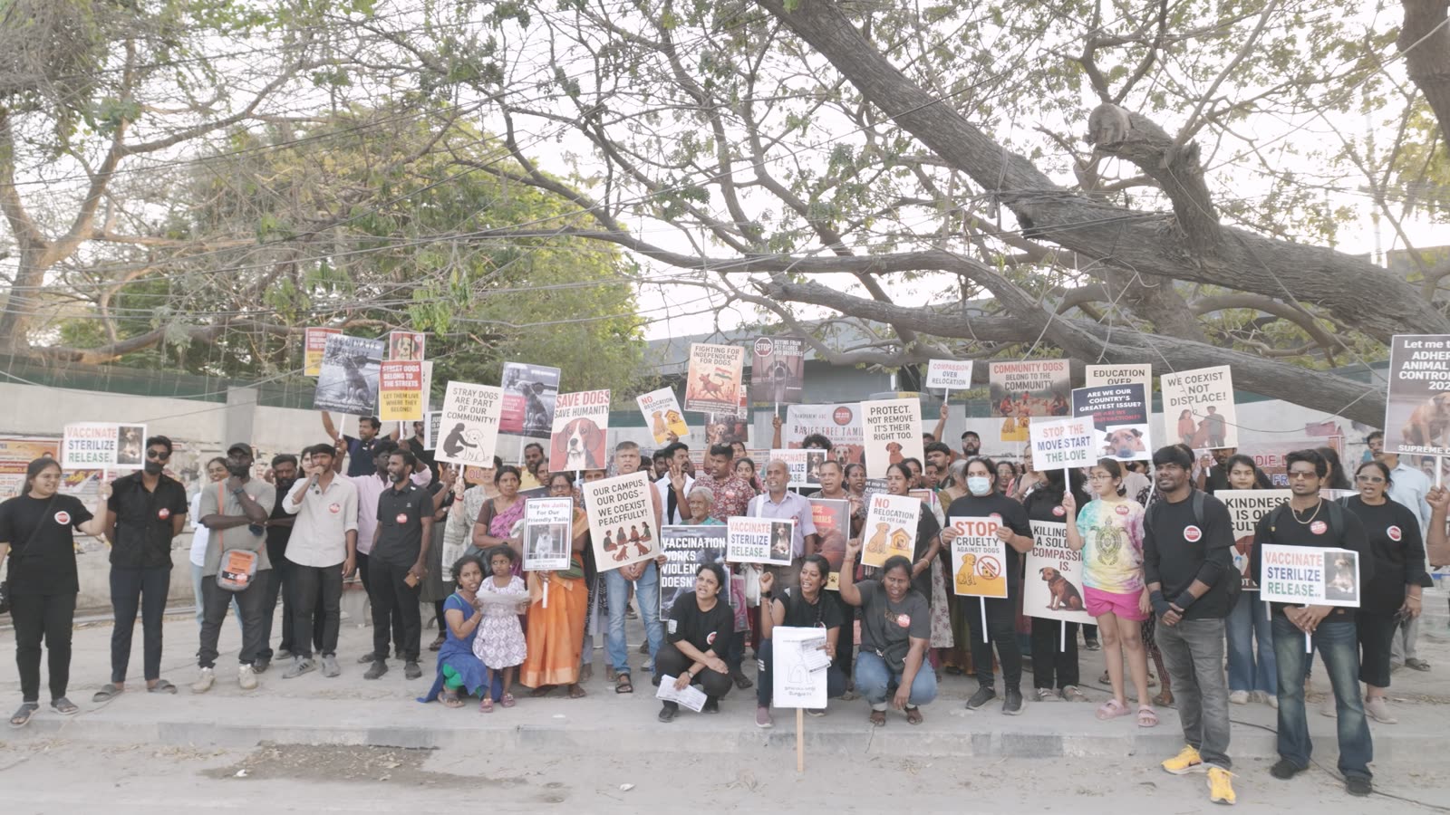 Animal rights activists campaigning against rabies in Chennai